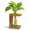 Wooden glass Tube Planter C